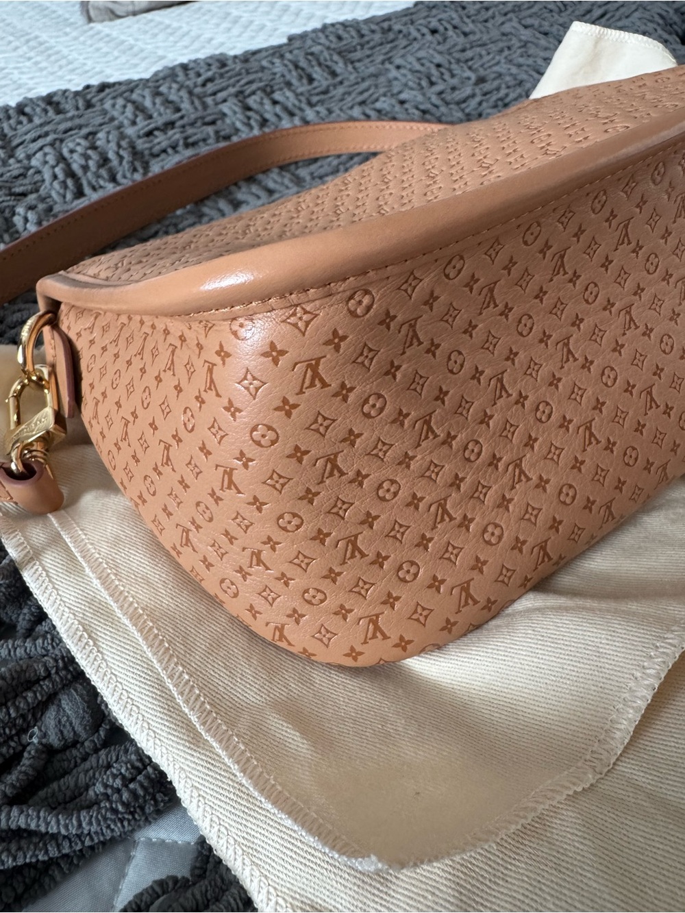 NWT Louis Vuitton Diane Hazelnut Mini Monogram  Leather Shoulder/Crossbody Bag - Picture 6 of 13